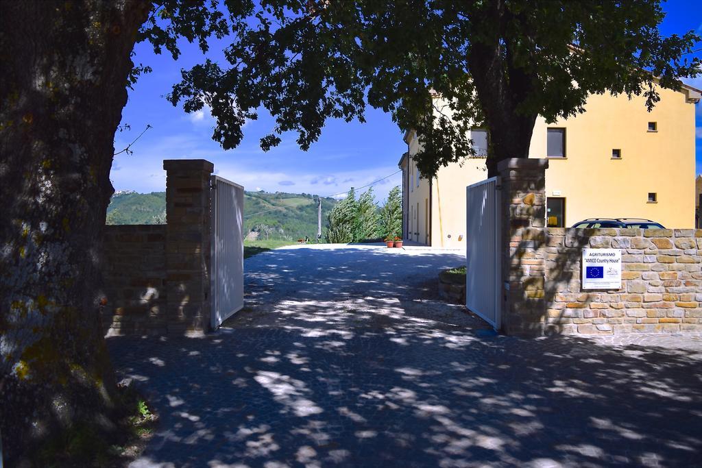 Amico * Serra San Quirico