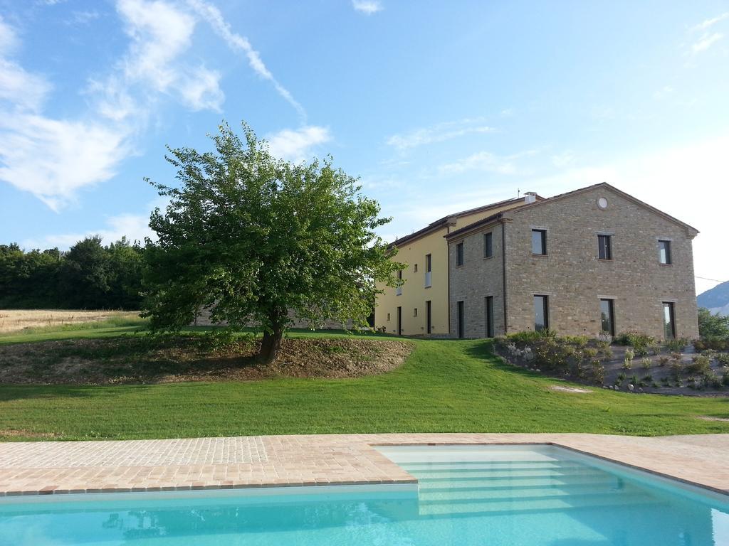 Amico Serra San Quirico